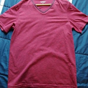 Express Stretch V-neck tshirt